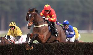 MARKET RASEN, ENGLAND - DECEMBER 30: Lord Bryan ridden by James Bowen in action during The Lincolnshire National Handicap Chase at Market Rasen Racecourse on December 30, 2020 in Market Rasen, England. (Photo by Mike Egerton - Pool/Getty Images)