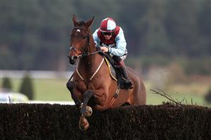 MARKET RASEN, ENGLAND - DECEMBER 30: Checkitout ridden by Sam Twiston-Davies in action during The racingtv.com Novices Limited Handicap Chase at Market Rasen Racecourse on December 30, 2020 in Market Rasen, England. (Photo by Mike Egerton - Pool/Getty Images)