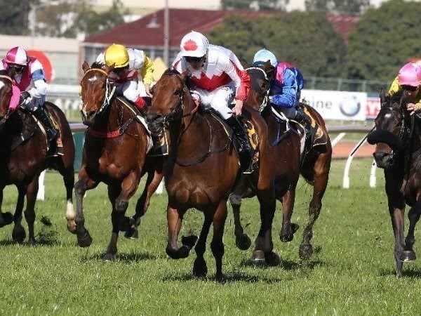 Ipswich Tips for Wednesday, October 30