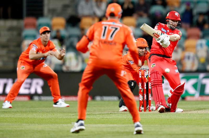 Scorchers v Renegades