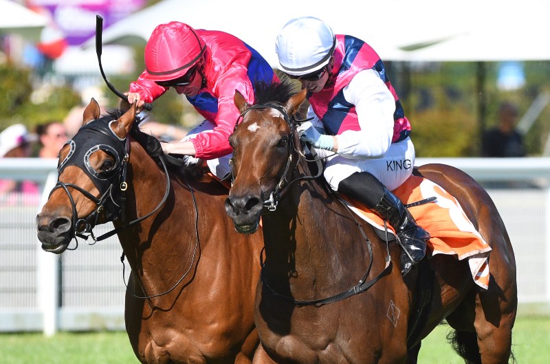 Stony Creek Betting Tips