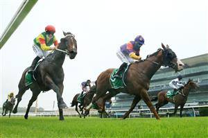 SYDNEY, AUSTRALIA - JANUARY 02: Kathy O'Hara on Power Of Attorney winning race 3 the Heineken Handicap on the Kensington track at Royal Randwick Racecourse on January 02, 2021 in Sydney, Australia. (Getty)