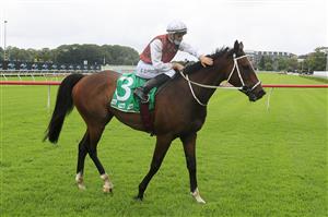 SYDNEY, AUSTRALIA - JANUARY 02: Sam Clipperton on Order Again returns to scale after winning race 5 the Maroubra Handicap during Sydney Racing on the Kensington track at Royal Randwick Racecourse on January 02, 2021 in Sydney, Australia. (Photo by Mark Evans/Getty Images)