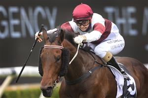 SYDNEY, AUSTRALIA - JANUARY 02: Cejay Graham on Nuclear Summit wins race 6 The Agency Real Estate Handicap during Sydney Racing on the Kensington track at Royal Randwick Racecourse on January 02, 2021 in Sydney, Australia. (Photo by Mark Evans/Getty Images)