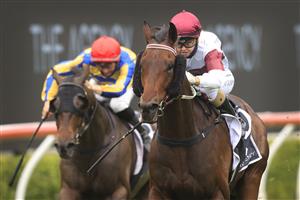 SYDNEY, AUSTRALIA - JANUARY 02: Cejay Graham on Nuclear Summit wins race 6 The Agency Real Estate Handicap during Sydney Racing on the Kensington track at Royal Randwick Racecourse on January 02, 2021 in Sydney, Australia. (Photo by Mark Evans/Getty Images)