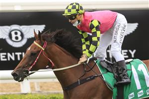 SYDNEY, AUSTRALIA - JANUARY 02: James Innes Jnr
on Boyles wins race 2 the TAB Highway Class 3 Handicap during Sydney Racing on the Kensington track at Royal Randwick Racecourse on January 02, 2021 in Sydney, Australia. (Photo by Mark Evans/Getty Images)