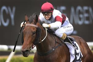 SYDNEY, AUSTRALIA - JANUARY 02: Cejay Graham on Nuclear Summit wins race 6 The Agency Real Estate Handicap during Sydney Racing on the Kensington track at Royal Randwick Racecourse on January 02, 2021 in Sydney, Australia. (Photo by Mark Evans/Getty Images)