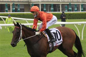 SYDNEY, AUSTRALIA - JANUARY 02: Sam Clipperton on Never Talk returns to scale after winning race 9 the Ranvet Handicap during Sydney Racing on the Kensington track at Royal Randwick Racecourse on January 02, 2021 in Sydney, Australia. (Photo by Mark Evans/Getty Images)
