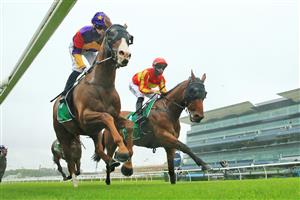 SYDNEY, AUSTRALIA - JANUARY 02: Kathy O'Hara on Power Of Attorney winning race 3 the Heineken Handicap on the Kensington track at Royal Randwick Racecourse on January 02, 2021 in Sydney, Australia. (Getty)