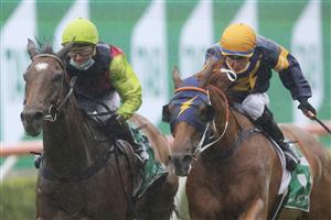 SYDNEY, AUSTRALIA - JANUARY 02: Tommy Berry on Snowfire wins race 8 the TAB Handicap during Sydney Racing on the Kensington track at Royal Randwick Racecourse on January 02, 2021 in Sydney, Australia. (Photo by Mark Evans/Getty Images)