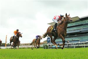 SYDNEY, AUSTRALIA - JANUARY 02: Tommy Berry on Four Moves Ahead wins race 1 the Schweppes Handicap during Sydney Racing on the Kensington track at Royal Randwick Racecourse on January 02, 2021 in Sydney, Australia. (Photo by Mark Evans/Getty Images)
