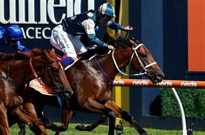 Blue Diamond Stakes 2022 Tips Betting Advice Expert Selections