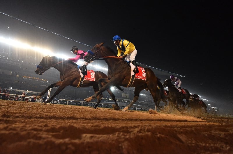 meydan races
