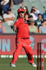 ADELAIDE, AUSTRALIA - JANUARY 05: Aaron Finch of the Renegades fields during the Big Bash League match between the Melbourne Renegades and the Adelaide Strikers at Adelaide Oval, on January 05, 2021, in Adelaide, Australia. (Photo by Daniel Kalisz/Getty Images)