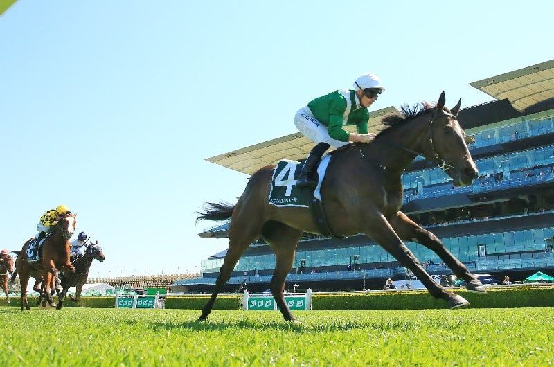 Golden Slipper Betting Odds