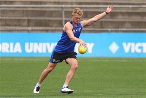 MELBOURNE, AUSTRALIA - JANUARY 06: Adam Treloar of the Bulldogs kicks the ball during a Western Bulldogs AFL training session at Whitten Oval on January 06, 2021 in Melbourne, Australia. (Photo by Mike Owen/Getty Images)