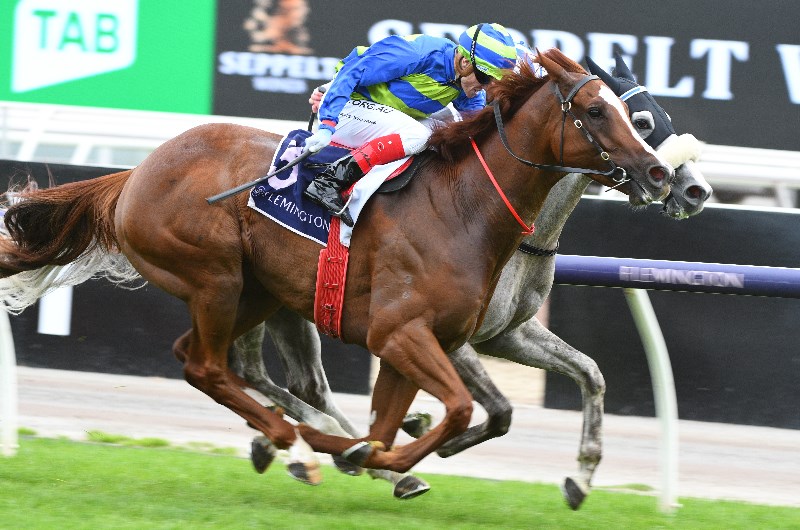 Flemington Betting Tips