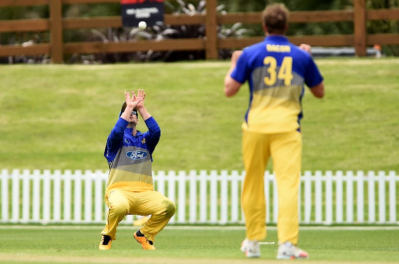 Otago Volts