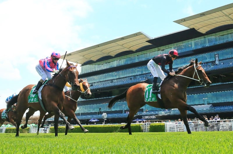 Randwick Tips for 09.01.2020