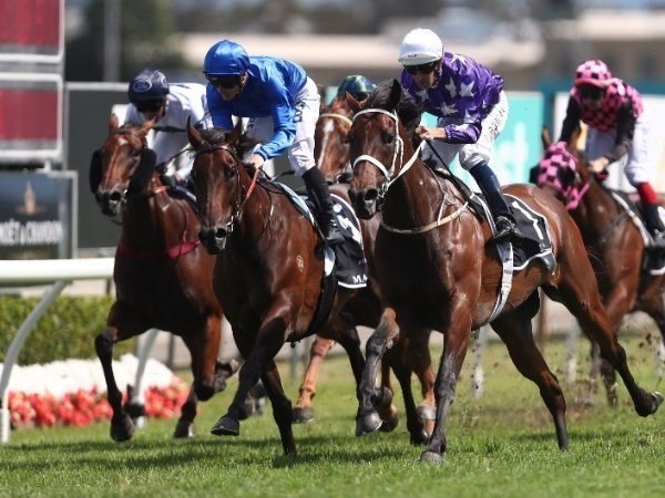 Sunshine Coast Racing Tips for 08.11.2019