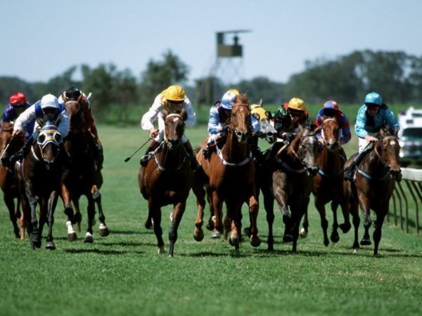murray bridge tips for 23.05.2020