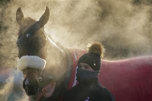SUNBURY, ENGLAND - JANUARY 09: Steam rises from McFabulous after winning The Dornan Engineering Relkeel Hurdle at Kempton Park Racecourse on January 09, 2021 in Sunbury, England. Due to the Coronavirus pandemic, owners along with the paying public will not be allowed to attend the meeting. (Photo by Alan Crowhurst/Getty Images)