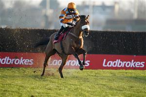 SUNBURY, ENGLAND - JANUARY 09: Harry Cobden riding Master Tommytucker clear the last to win The Ladbrokes Silviniaco Conti Chase at Kempton Park Racecourse on January 09, 2021 in Sunbury, England. Due to the Coronavirus pandemic, owners along with the paying public will not be allowed to attend the meeting. (Photo by Alan Crowhurst/Getty Images)