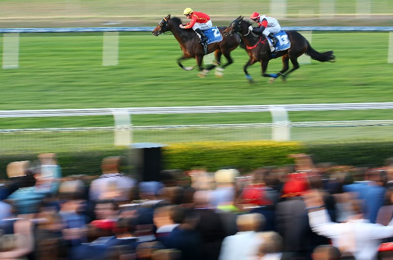 Gatton Betting Tips