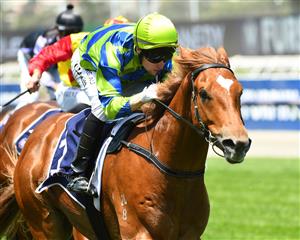 MELBOURNE, AUSTRALIA - JANUARY 09: Craig Newitt riding Abseiler to win Race 1, the Summer Twilight Series Plate, during Melbourne Racing at Flemington Racecourse on January 09, 2021 in Melbourne, Australia. (Photo by Vince Caligiuri/Getty Images)