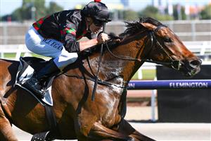 MELBOURNE, AUSTRALIA - JANUARY 09: Billy Egan riding Defibrillate wins race 6, the Lexus Handicap, during Melbourne Racing at Flemington Racecourse on January 09, 2021 in Melbourne, Australia. (Photo by Vince Caligiuri/Getty Images)