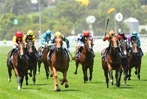 MELBOURNE, AUSTRALIA - JANUARY 09: Craig Newitt riding Abseiler to win Race 1, the Summer Twilight Series Plate, during Melbourne Racing at Flemington Racecourse on January 09, 2021 in Melbourne, Australia. (Photo by Vince Caligiuri/Getty Images)