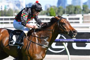 MELBOURNE, AUSTRALIA - JANUARY 09: Billy Egan riding Defibrillate wins race 6, the Lexus Handicap, during Melbourne Racing at Flemington Racecourse on January 09, 2021 in Melbourne, Australia. (Photo by Vince Caligiuri/Getty Images)