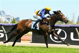 MELBOURNE, AUSTRALIA - JANUARY 09: Damien Thornton riding Island Joy wins Race 3, the Furphy Crisp Lager Handicap, during Melbourne Racing at Flemington Racecourse on January 09, 2021 in Melbourne, Australia. (Photo by Vince Caligiuri/Getty Images)