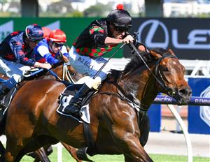 MELBOURNE, AUSTRALIA - JANUARY 09: Billy Egan riding Defibrillate wins race 6, the Lexus Handicap, during Melbourne Racing at Flemington Racecourse on January 09, 2021 in Melbourne, Australia. (Photo by Vince Caligiuri/Getty Images)