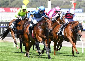 MELBOURNE, AUSTRALIA - JANUARY 09: Campbell Rawiller riding Saccharo wins Race 4, the Grinders Coffee Trophy, during Melbourne Racing at Flemington Racecourse on January 09, 2021 in Melbourne, Australia. (Photo by Vince Caligiuri/Getty Images)