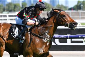 MELBOURNE, AUSTRALIA - JANUARY 09: Billy Egan riding Defibrillate wins race 6, the Lexus Handicap, during Melbourne Racing at Flemington Racecourse on January 09, 2021 in Melbourne, Australia. (Photo by Vince Caligiuri/Getty Images)