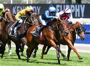 MELBOURNE, AUSTRALIA - JANUARY 09: Campbell Rawiller riding Saccharo wins Race 4, the Grinders Coffee Trophy, during Melbourne Racing at Flemington Racecourse on January 09, 2021 in Melbourne, Australia. (Photo by Vince Caligiuri/Getty Images)