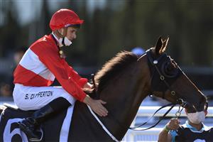 SYDNEY, AUSTRALIA - JANUARY 09: Sam Clipperton on Sacramento returns to scale after winning race 8 the Precise Air Handicap during Sydney Racing at Royal Randwick Racecourse on January 09, 2021 in Sydney, Australia. (Photo by Mark Evans/Getty Images)