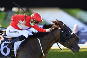SYDNEY, AUSTRALIA - JANUARY 09: Sam Clipperton on Sacramento wins race 8 the Precise Air Handicap during Sydney Racing at Royal Randwick Racecourse on January 09, 2021 in Sydney, Australia. (Photo by Mark Evans/Getty Images)