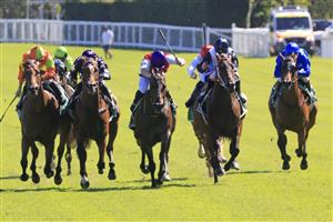 SYDNEY, AUSTRALIA - JANUARY 09: Chris Williams on King Of Hastings wins race 6 the Heineken Handicap during Sydney Racing at Royal Randwick Racecourse on January 09, 2021 in Sydney, Australia. (Photo by Mark Evans/Getty Images)