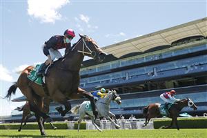 SYDNEY, AUSTRALIA - JANUARY 09: Jason Collett on Pinnacle Prince wins race 2 the TAB Highway Class 3 Handicap during Sydney Racing at Royal Randwick Racecourse on January 09, 2021 in Sydney, Australia. (Photo by Mark Evans/Getty Images)