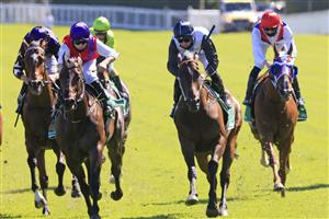 SYDNEY, AUSTRALIA - JANUARY 09: Chris Williams on King Of Hastings wins race 6 the Heineken Handicap during Sydney Racing at Royal Randwick Racecourse on January 09, 2021 in Sydney, Australia. (Photo by Mark Evans/Getty Images)