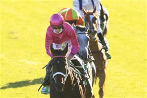 SYDNEY, AUSTRALIA - JANUARY 09: Jason Collett on Betcha Flying wins race 9 the TAB Handicap during Sydney Racing at Royal Randwick Racecourse on January 09, 2021 in Sydney, Australia. (Photo by Mark Evans/Getty Images)