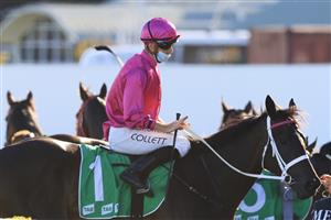 SYDNEY, AUSTRALIA - JANUARY 09: Jason Collett on Betcha Flying returns to scale after winning race 9 the TAB Handicap during Sydney Racing at Royal Randwick Racecourse on January 09, 2021 in Sydney, Australia. (Photo by Mark Evans/Getty Images)