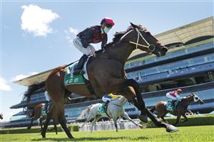 SYDNEY, AUSTRALIA - JANUARY 09: Jason Collett on Pinnacle Prince wins race 2 the TAB Highway Class 3 Handicap during Sydney Racing at Royal Randwick Racecourse on January 09, 2021 in Sydney, Australia. (Photo by Mark Evans/Getty Images)