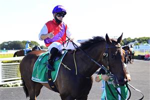 SYDNEY, AUSTRALIA - JANUARY 09: Chris Williams on King Of Hastings returns to scale after winning race 6 the Heineken Handicap during Sydney Racing at Royal Randwick Racecourse on January 09, 2021 in Sydney, Australia. (Photo by Mark Evans/Getty Images)