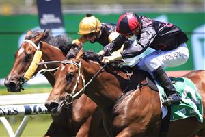 SYDNEY, AUSTRALIA - JANUARY 09: Jason Collett on Pinnacle Prince wins race 2 the TAB Highway Class 3 Handicap during Sydney Racing at Royal Randwick Racecourse on January 09, 2021 in Sydney, Australia. (Photo by Mark Evans/Getty Images)