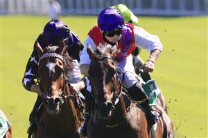SYDNEY, AUSTRALIA - JANUARY 09: Chris Williams on King Of Hastings wins race 6 the Heineken Handicap during Sydney Racing at Royal Randwick Racecourse on January 09, 2021 in Sydney, Australia. (Photo by Mark Evans/Getty Images)