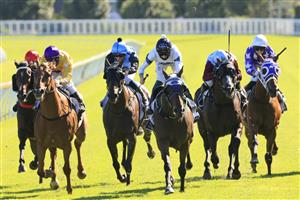 SYDNEY, AUSTRALIA - JANUARY 09: Robbie Dolan on Spirit Ridge wins race 7 the January Cup during Sydney Racing at Royal Randwick Racecourse on January 09, 2021 in Sydney, Australia. (Photo by Mark Evans/Getty Images)