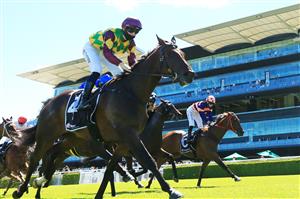 SYDNEY, AUSTRALIA - JANUARY 09: Tom Sherry on Ulysses wins race 5 the Ranvet Handicap during Sydney Racing at Royal Randwick Racecourse on January 09, 2021 in Sydney, Australia. (Photo by Mark Evans/Getty Images)